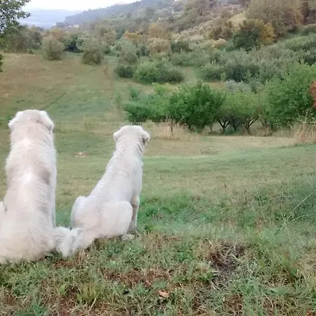 Monterone Alloggio per agriturismo *